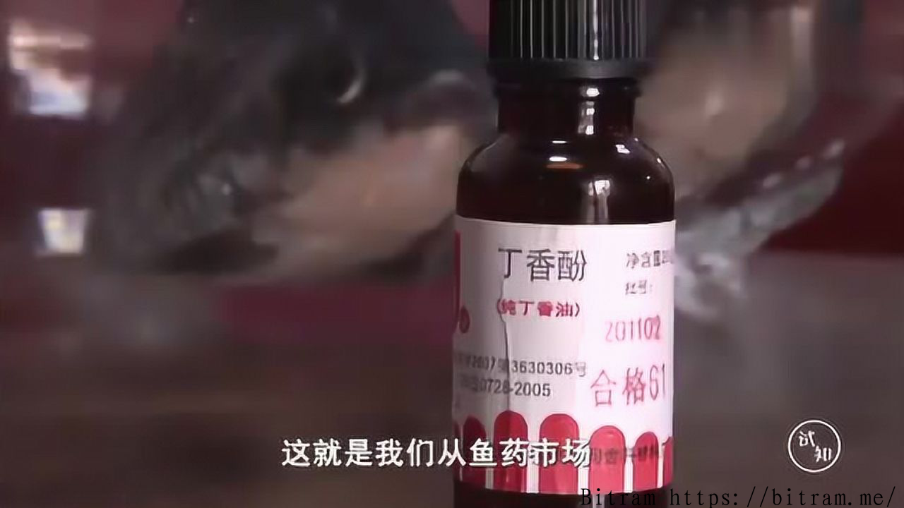 央视曝光活鱼运输乱象:麻醉剂泛滥、工业酒精入水,食品安全隐患几何? 央视曝光活鱼运输乱象:麻醉剂泛滥、工业酒精入水,食品安全隐患几何?