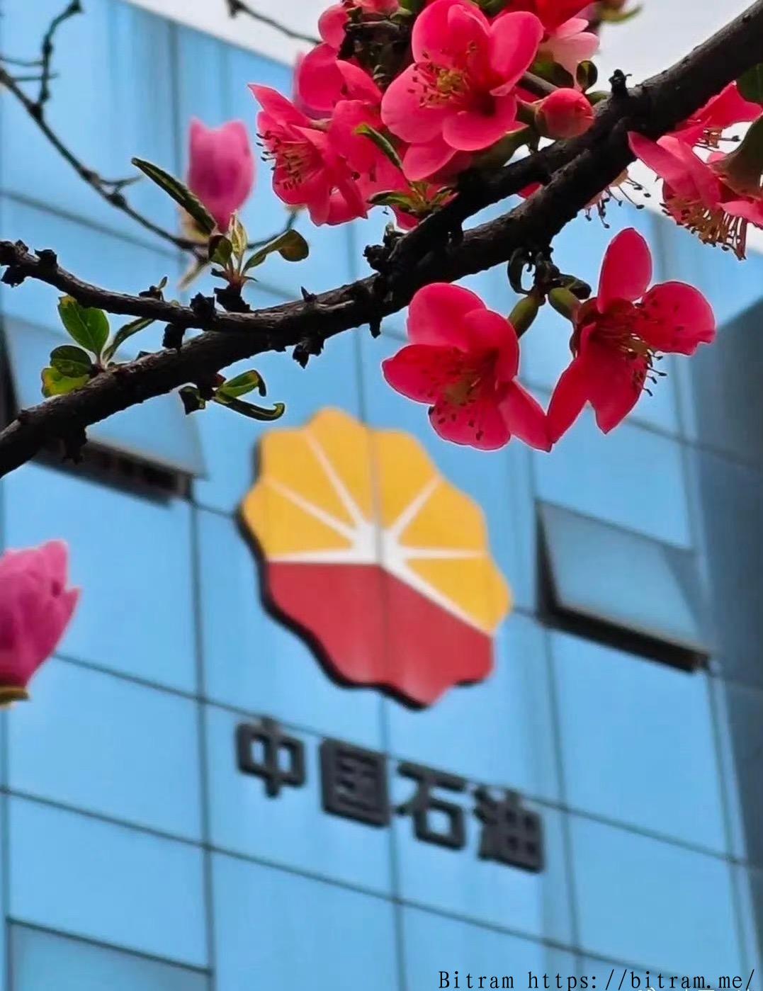 中国石油净利润五年来首现负增长，能源巨头盈利拐点意味着什么？